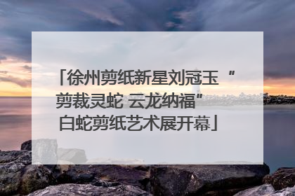 徐州剪纸新星刘冠玉“剪裁灵蛇 云龙纳福” 白蛇剪纸艺术展开幕