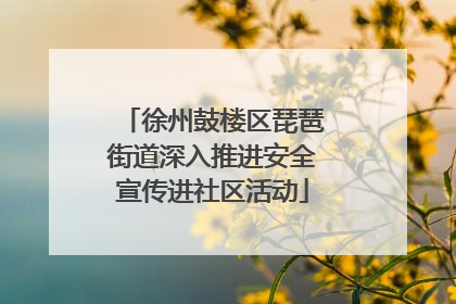 徐州鼓楼区琵琶街道深入推进安全宣传进社区活动