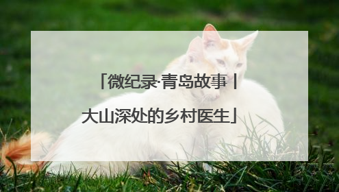 微纪录·青岛故事丨大山深处的乡村医生