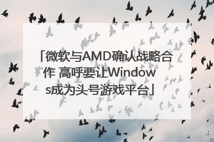 微软与AMD确认战略合作 高呼要让Windows成为头号游戏平台