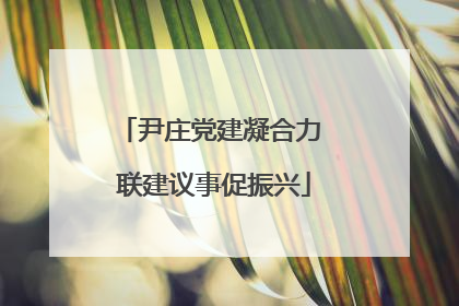 尹庄党建凝合力 联建议事促振兴