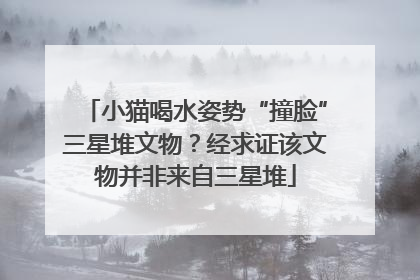 小猫喝水姿势“撞脸”三星堆文物？经求证该文物并非来自三星堆