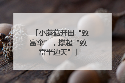 小蘑菇开出“致富伞”，撑起“致富半边天”