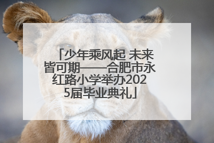 少年乘风起 未来皆可期——合肥市永红路小学举办2025届毕业典礼
