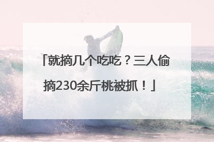 就摘几个吃吃？三人偷摘230余斤桃被抓！