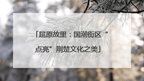 屈原故里：国潮街区“点亮”荆楚文化之美