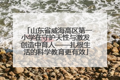 山东省威海高区第一小学在守护天性与激发创造中育人——扎根生活的科学教育更有效