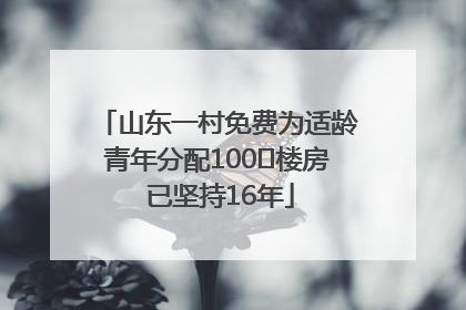 山东一村免费为适龄青年分配100㎡楼房 已坚持16年