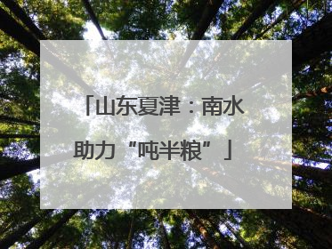 山东夏津：南水助力“吨半粮”
