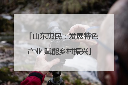 山东惠民：发展特色产业 赋能乡村振兴