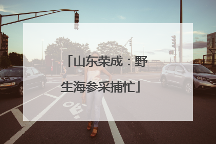 山东荣成：野生海参采捕忙