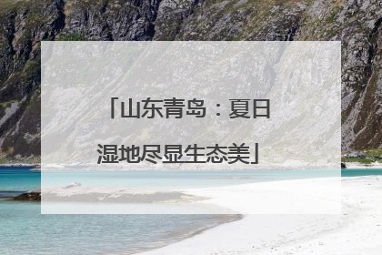 山东青岛：夏日湿地尽显生态美