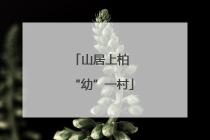 山居上柏 “幼”一村