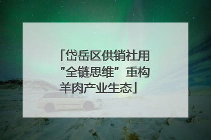 岱岳区供销社用“全链思维”重构羊肉产业生态