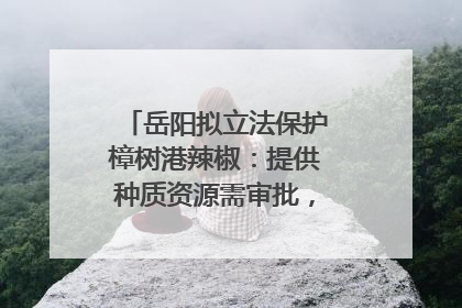 岳阳拟立法保护樟树港辣椒：提供种质资源需审批，违规最高罚5万