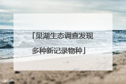 巢湖生态调查发现多种新记录物种