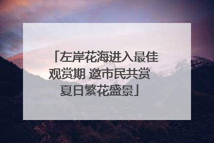 左岸花海进入最佳观赏期 邀市民共赏夏日繁花盛景