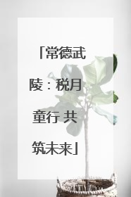常德武陵：税月童行 共筑未来