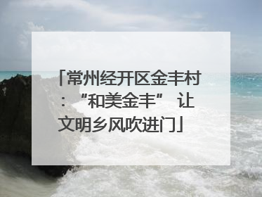 常州经开区金丰村：“和美金丰” 让文明乡风吹进门