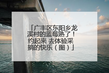 广丰区东阳乡龙溪村的蓝莓熟了！约起来 去体验采摘的快乐（图）