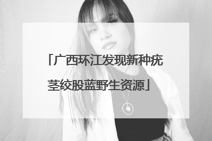 广西环江发现新种疣茎绞股蓝野生资源