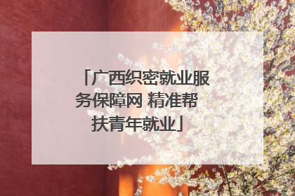 广西织密就业服务保障网 精准帮扶青年就业