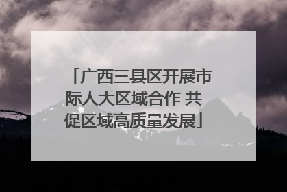 广西三县区开展市际人大区域合作 共促区域高质量发展