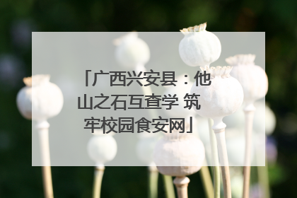广西兴安县：他山之石互查学 筑牢校园食安网