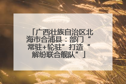广西壮族自治区北海市合浦县：部门“常驻+轮驻”打造“解纷联合舰队”