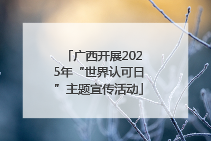 广西开展2025年“世界认可日”主题宣传活动