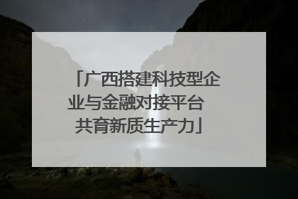广西搭建科技型企业与金融对接平台 共育新质生产力