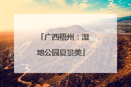 广西梧州：湿地公园夏景美