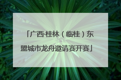 广西·桂林（临桂）东盟城市龙舟邀请赛开赛