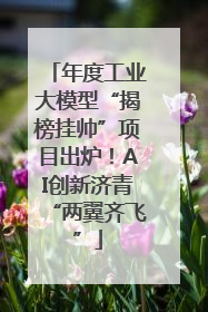 年度工业大模型“揭榜挂帅”项目出炉！AI创新济青“两翼齐飞”