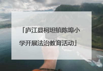 庐江县柯坦镇陈埠小学开展法治教育活动