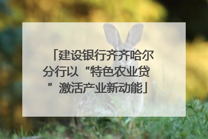 建设银行齐齐哈尔分行以“特色农业贷”激活产业新动能