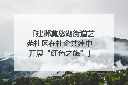 建邺莫愁湖街道艺苑社区在社企共建中开展“红色之旅”