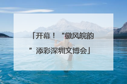 开幕！“徽风皖韵”添彩深圳文博会