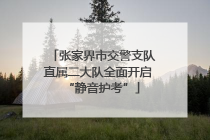 张家界市交警支队直属二大队全面开启“静音护考”