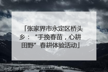 张家界市永定区桥头乡：“手挽春苗，心耕田野”春耕体验活动