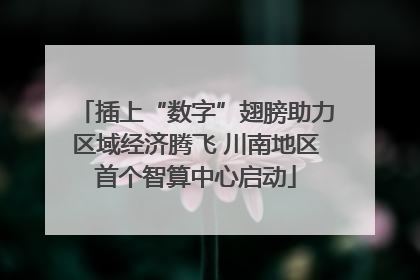插上“数字”翅膀助力区域经济腾飞 川南地区首个智算中心启动