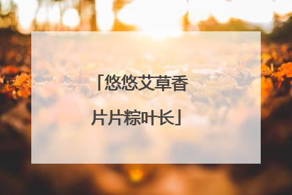 悠悠艾草香 片片粽叶长