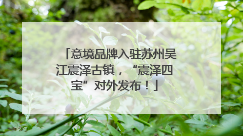 意境品牌入驻苏州吴江震泽古镇，“震泽四宝”对外发布！