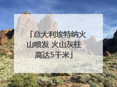 意大利埃特纳火山喷发 火山灰柱高达5千米