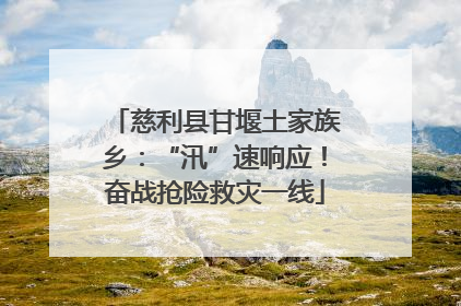 慈利县甘堰土家族乡：“汛”速响应！奋战抢险救灾一线