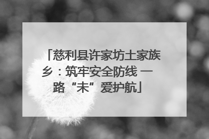 慈利县许家坊土家族乡：筑牢安全防线 一路“未”爱护航