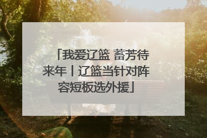 我爱辽篮 蓄芳待来年丨辽篮当针对阵容短板选外援