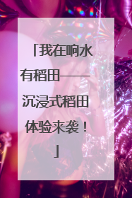 我在响水有稻田——沉浸式稻田体验来袭！
