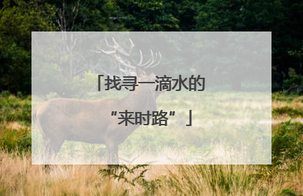 找寻一滴水的“来时路”