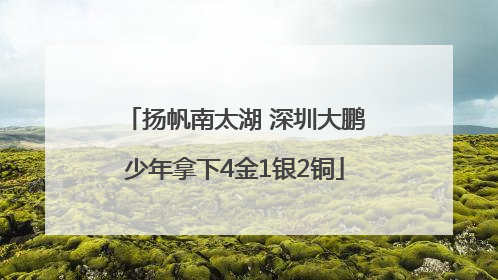 扬帆南太湖 深圳大鹏少年拿下4金1银2铜